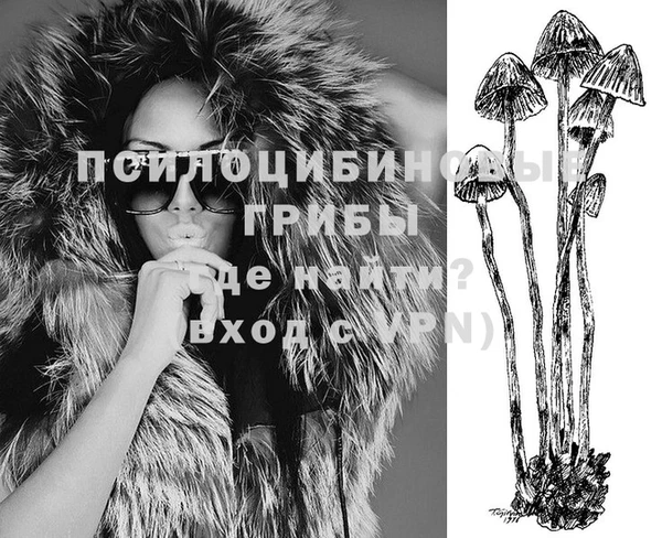 дмт Новодвинск