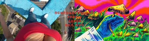 ECSTASY Абаза